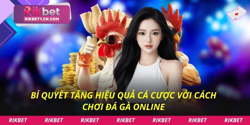 Bí quyết tăng hiệu quả cá cược với cách chơi đá gà online