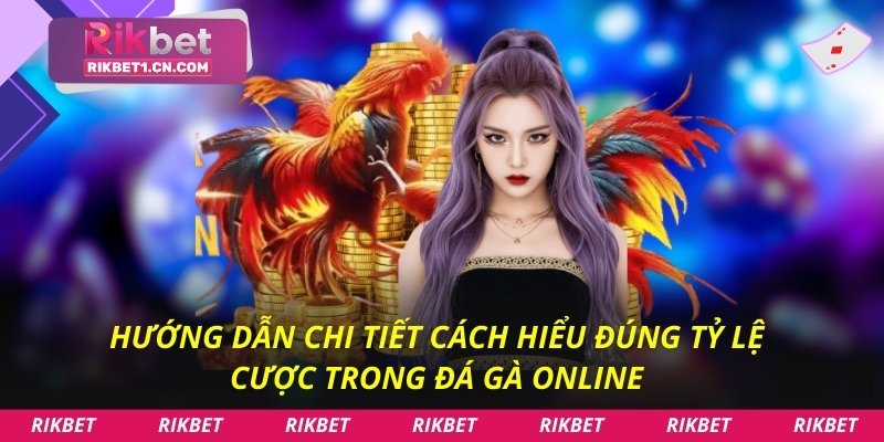 Hướng dẫn chi tiết cách hiểu đúng tỷ lệ cược trong đá gà online
